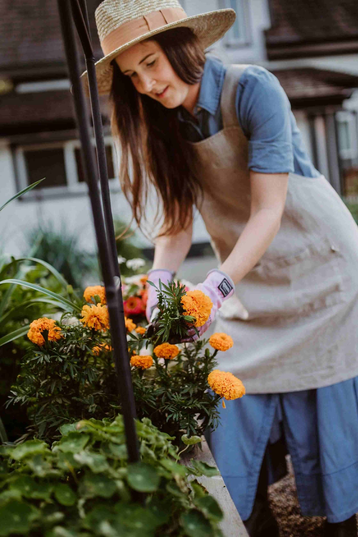 Femme en chapeau de paille qui jardine, un tablier beige à bavette noué à la taille, devant une jardinière de fleurs orange. Image