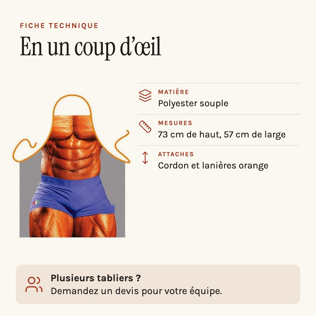 Tablier muscle de culturiste, fiche technique