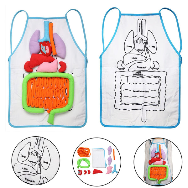 Tablier pour Enfant Anatomie